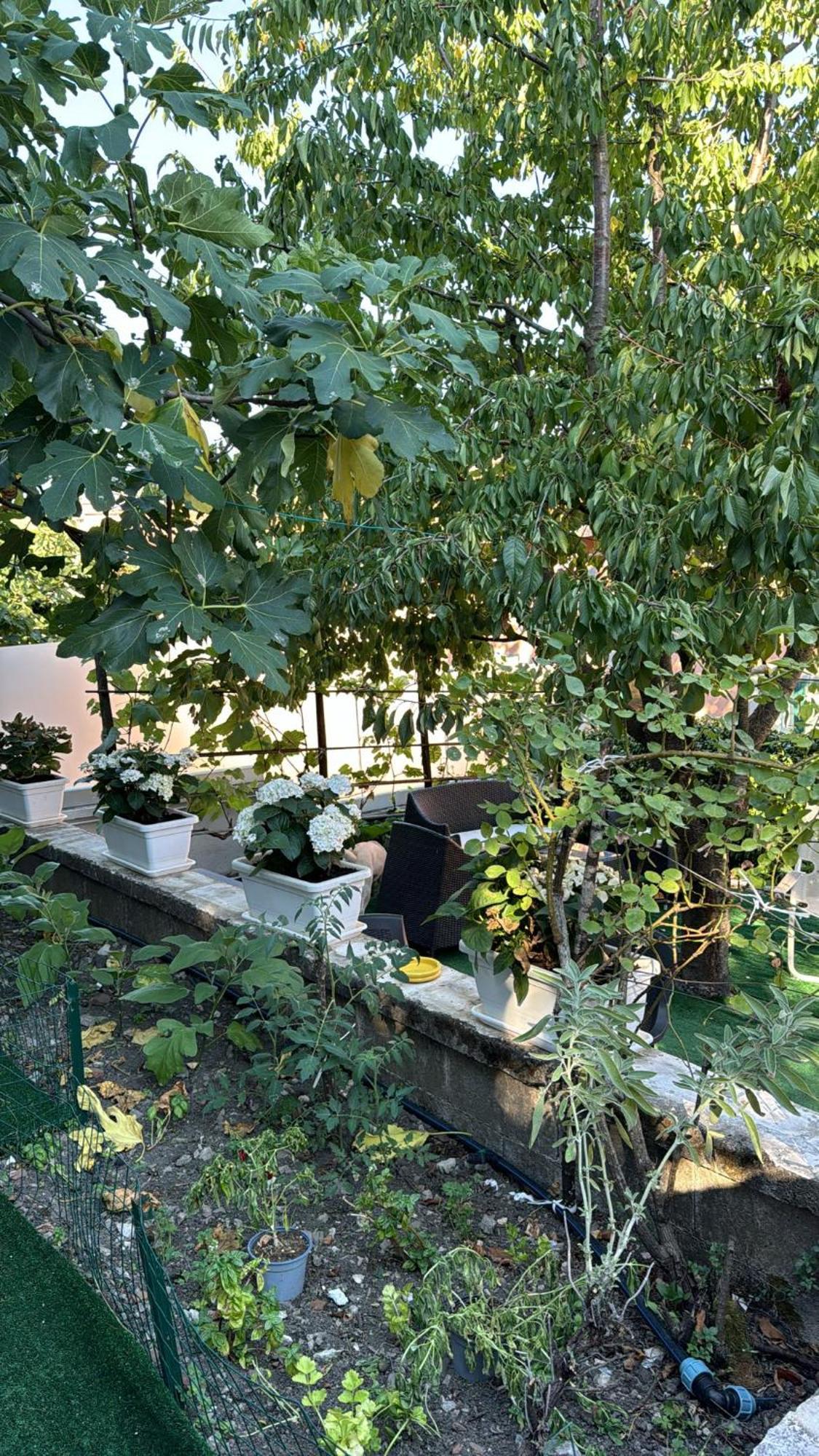 Caselle in Pittari B&B Gep & Lela מראה חיצוני תמונה