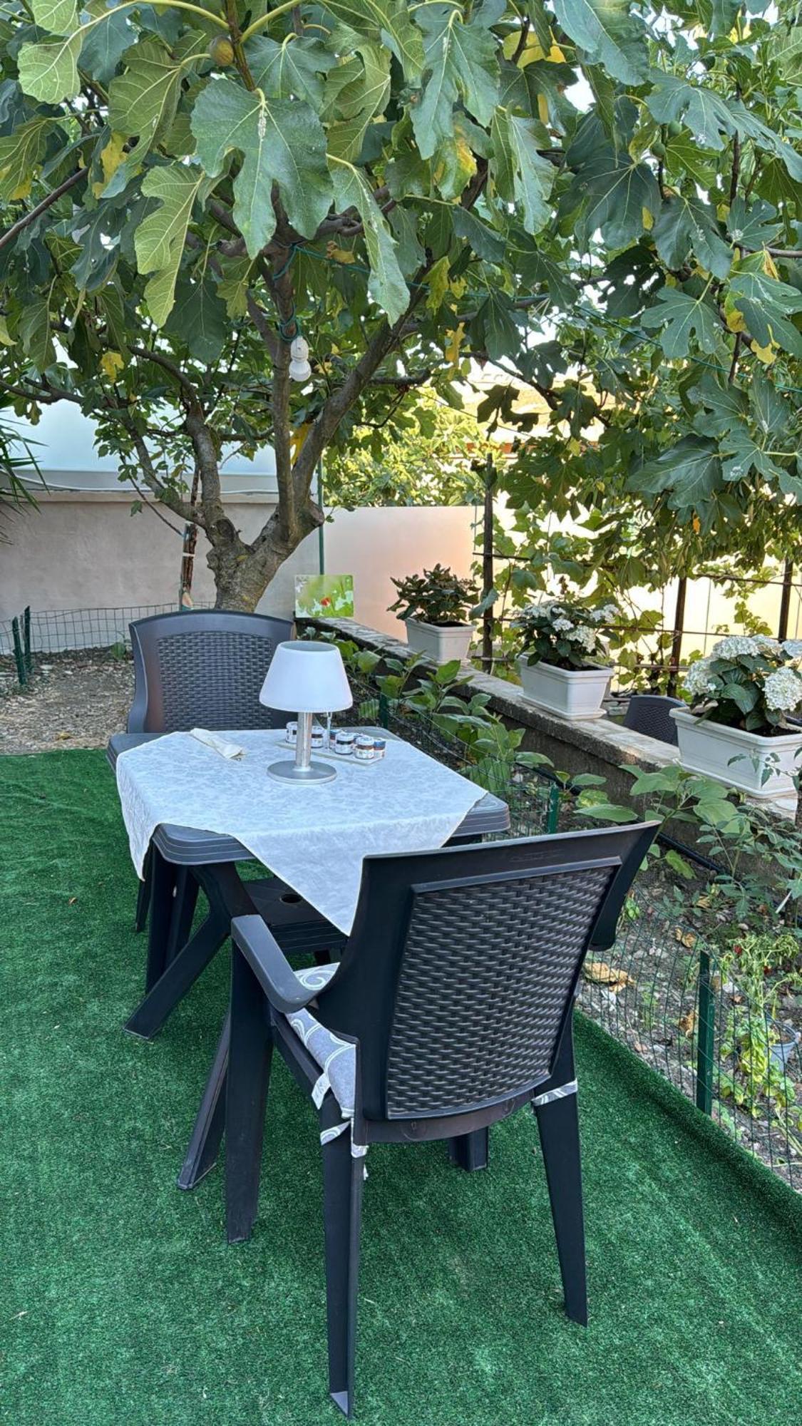 Caselle in Pittari B&B Gep & Lela מראה חיצוני תמונה